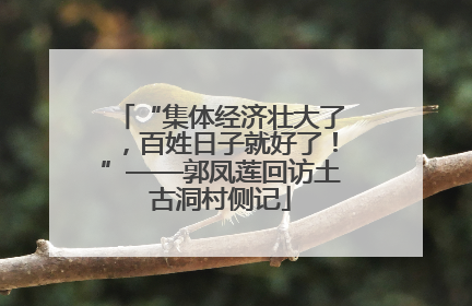“集体经济壮大了，百姓日子就好了！”——郭凤莲回访土古洞村侧记