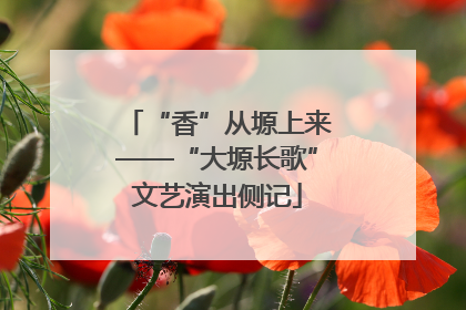 “香”从塬上来——“大塬长歌”文艺演出侧记