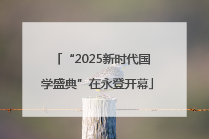 “2025新时代国学盛典”在永登开幕