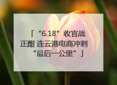 “6.18”收官战正酣 连云港电商冲刺“最后一公里”
