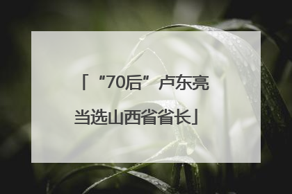“70后”卢东亮当选山西省省长