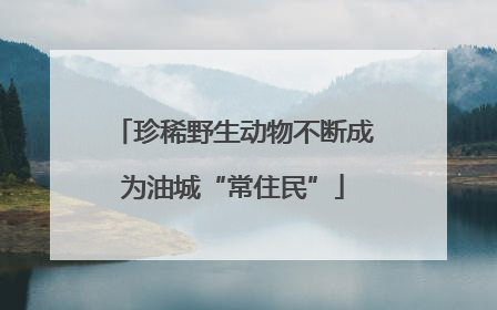 珍稀野生动物不断成为油城“常住民”