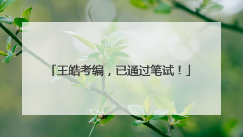 王皓考编，已通过笔试！