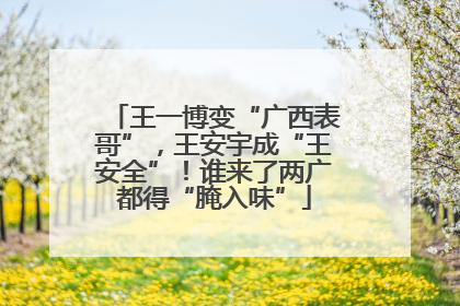 王一博变“广西表哥”，王安宇成“王安全”！谁来了两广都得“腌入味”