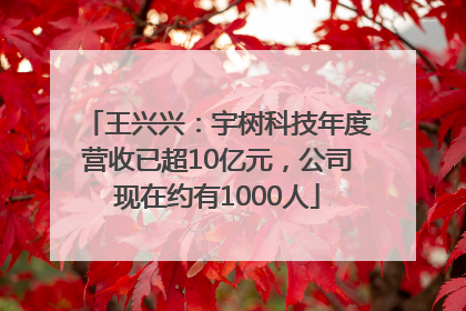 王兴兴：宇树科技年度营收已超10亿元，公司现在约有1000人