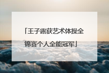 王子露获艺术体操全锦赛个人全能冠军