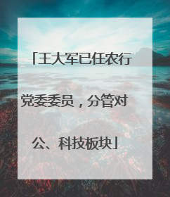 王大军已任农行党委委员，分管对公、科技板块