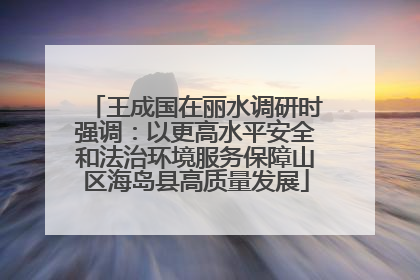 王成国在丽水调研时强调：以更高水平安全和法治环境服务保障山区海岛县高质量发展