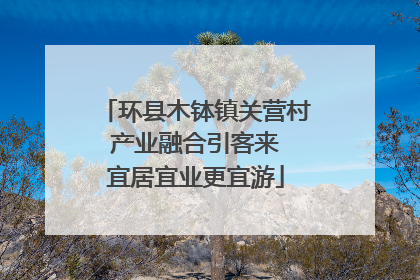 环县木钵镇关营村 产业融合引客来 宜居宜业更宜游