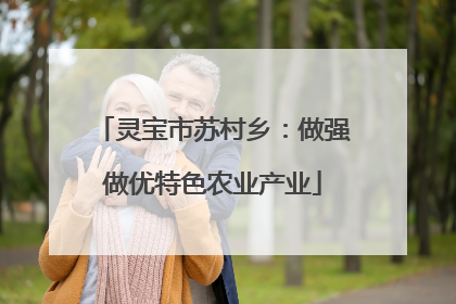 灵宝市苏村乡：做强做优特色农业产业