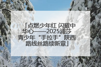 点燃少年红 闪耀中华心——2025浦莎青少年“手拉手”陕西路线丝路续新章