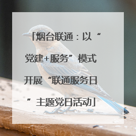 烟台联通：以“党建+服务”模式开展“联通服务日”主题党日活动