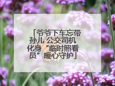 爷爷下车忘带孙儿 公交司机化身“临时照看员”暖心守护