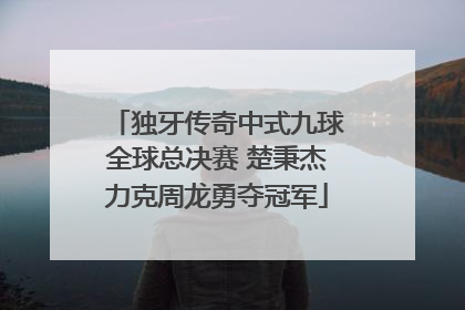 独牙传奇中式九球全球总决赛 楚秉杰力克周龙勇夺冠军