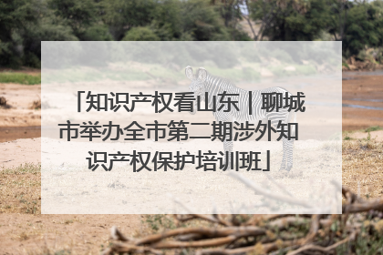知识产权看山东｜聊城市举办全市第二期涉外知识产权保护培训班