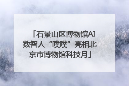 石景山区博物馆AI数智人“噗噗”亮相北京市博物馆科技月