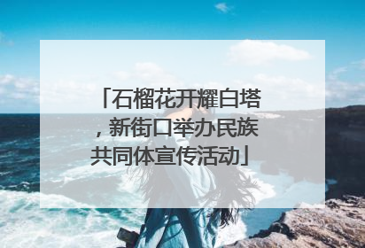 石榴花开耀白塔，新街口举办民族共同体宣传活动