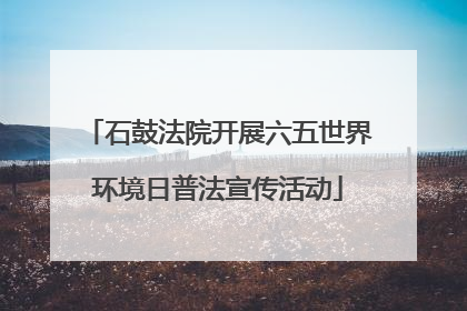 石鼓法院开展六五世界环境日普法宣传活动