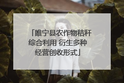 睢宁县农作物秸秆综合利用 衍生多种经营创收形式