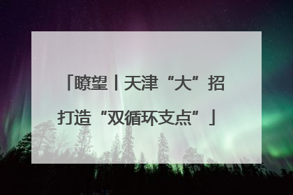 瞭望丨天津“大”招打造“双循环支点”