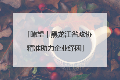 瞭望｜黑龙江省政协精准助力企业纾困