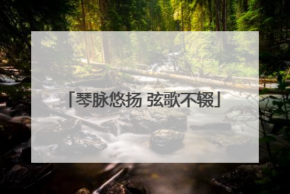 琴脉悠扬 弦歌不辍