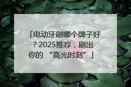 电动牙刷哪个牌子好？2025推荐，刷出你的 “高光时刻”