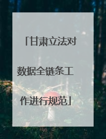 甘肃立法对数据全链条工作进行规范
