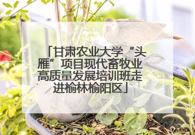 甘肃农业大学“头雁”项目现代畜牧业高质量发展培训班走进榆林榆阳区