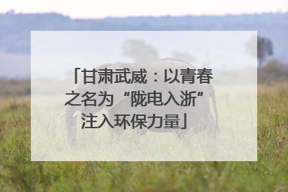 甘肃武威：以青春之名为“陇电入浙”注入环保力量