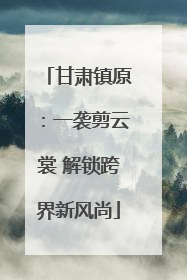 甘肃镇原：一袭剪云裳 解锁跨界新风尚