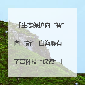 生态保护向“智”向“新” 白海豚有了高科技“保镖”