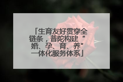 生育友好贯穿全链条，普陀构建“婚、孕、育、养”一体化服务体系