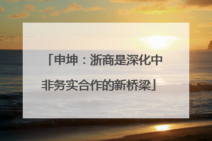 申坤：浙商是深化中非务实合作的新桥梁