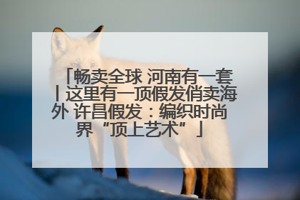 畅卖全球 河南有一套丨这里有一顶假发俏卖海外 许昌假发：编织时尚界“顶上艺术”