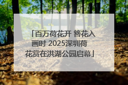百万荷花开 簪花入画时 2025深圳荷花赏在洪湖公园启幕