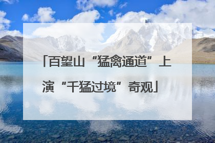 百望山“猛禽通道”上演“千猛过境”奇观
