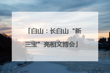 白山：长白山“新三宝”亮相文博会