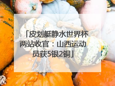 皮划艇静水世界杯两站收官：山西运动员获5银2铜