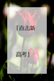 直击新高考
