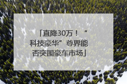 直降30万！“科技豪华”尊界能否突围豪车市场