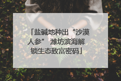 盐碱地种出“沙漠人参” 潍坊滨海解锁生态致富密码