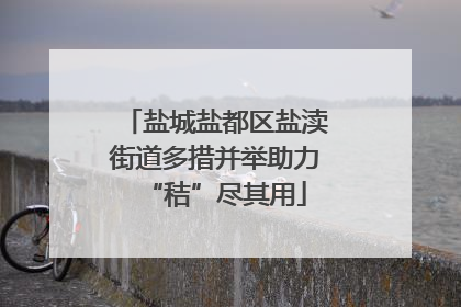 盐城盐都区盐渎街道多措并举助力“秸”尽其用