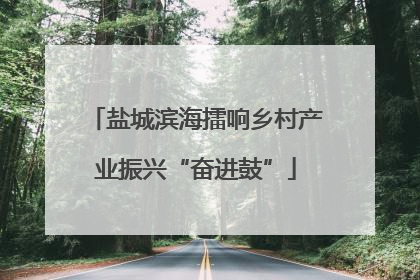 盐城滨海擂响乡村产业振兴“奋进鼓”