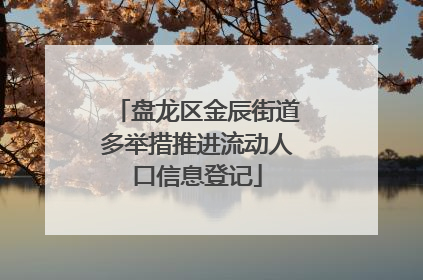 盘龙区金辰街道多举措推进流动人口信息登记
