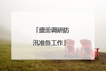 盛蕾调研防汛准备工作