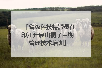 省级科技特派员在印江开展山桐子苗期管理技术培训