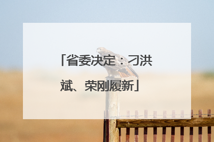 省委决定：刁洪斌、荣刚履新