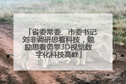 省委常委、市委书记刘非调研思看科技，勉励思看勇攀3D视觉数字化科技高峰