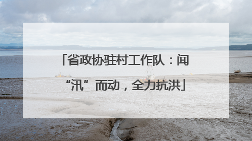 省政协驻村工作队：闻“汛”而动，全力抗洪